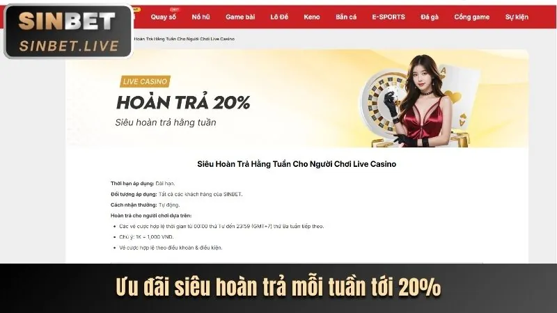 Các tiêu chí đánh giá nền tảng cá cược